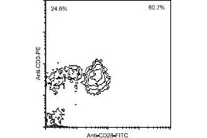 Flow Cytometry (FACS) image for anti-CD28 (CD28) antibody (FITC) (ABIN371358) (CD28 Antikörper  (FITC))