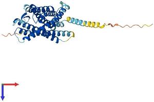 PTAFR Protein (AA 1-341) (His tag)
