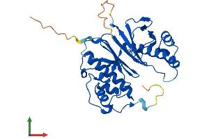 Protein Structure (PS) image for Aminoadipate-Semialdehyde Dehydrogenase-phosphopantetheinyl Transferase (AASDHPPT) (AA 1-309) protein (His tag) (ABIN7551928)