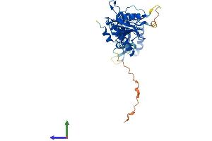 Protein Structure (PS) image for Adenosine Deaminase, tRNA-Specific 3 (ADAT3) (AA 1-349) protein (His tag) (ABIN7558031)