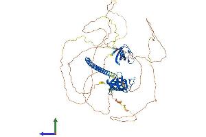 AlphaFold protein structure predicition of Human Recombinant SH3KBP1 Protein, UniprotID Q96B97