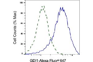 Validation of GDI1 knockdown using flow cytometry.