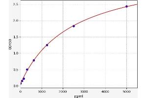 LIPF ELISA Kit