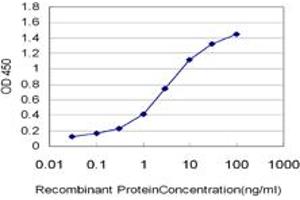 Detection limit for recombinant GST tagged EPHB3 is approximately 0. (EPH Receptor B3 Antikörper  (AA 899-997))