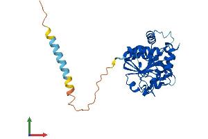 Protein Structure (PS) image for alpha-N-Acetylgalactosaminide alpha-2,6-Sialyltransferase 3 (SIA7C) (AA 1-305) protein (His tag) (ABIN7556294)
