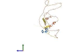 AlphaFold protein structure predicition of Human Recombinant CPXCR1 Protein, UniprotID Q8N123