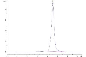 Size-exclusion chromatography-High Pressure Liquid Chromatography (SEC-HPLC) image for Leukocyte Immunoglobulin-Like Receptor, Subfamily B (With TM and ITIM Domains), Member 2 (LILRB2) (AA 24-457) protein (His tag) (ABIN7275157)