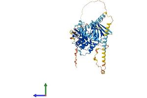 Protein Structure (PS) image for FERM Domain Containing 3 (FRMD3) (AA 1-595) protein (His tag) (ABIN7558630)