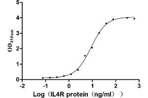 Measured by its binding ability in a functional ELISA.