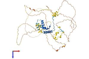 SOX9 Protein (AA 1-507) (His tag)