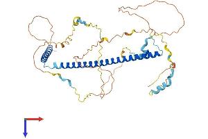 SKA3 Protein (AA 1-411) (His tag)