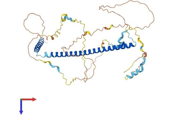 SKA3 Protein (AA 1-411) (His tag)