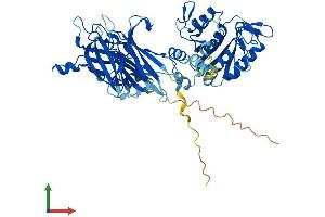 AlphaFold protein structure predicition of Human Recombinant CPNE8 Protein, UniprotID Q86YQ8