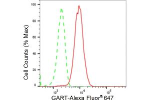 Flow cytometric analysis of GART expression in HT- cells using GART antibody (ABIN7799834), 1:2,000). (Rekombinanter GART Antikörper)