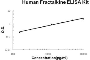 Human Fractalkine/CX3CL1 Accusignal ELISA Kit Human Fractalkine/CX3CL1 AccuSignal ELISA Kit standard curve.