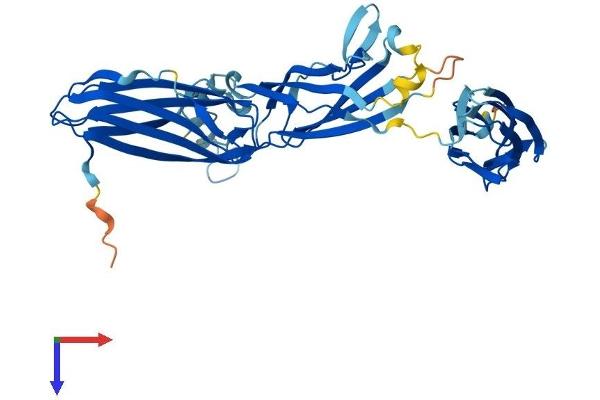 TRAPPC13 Protein (AA 1-417) (His tag)