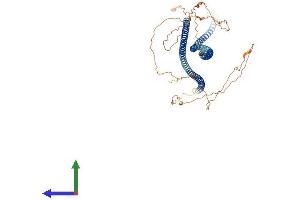 AlphaFold protein structure predicition of Human Recombinant KRT84 Protein, UniprotID Q9NSB2