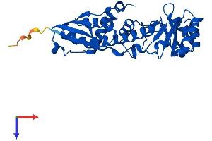 QPRT Protein (AA 1-297) (His tag)