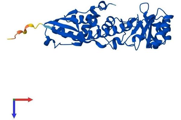 QPRT Protein (AA 1-297) (His tag)