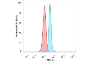 Flow cytometric analysis of PFA-fixed HeLa cells. (HDAC6 Antikörper)