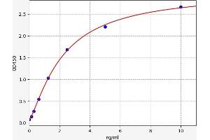 P2RY12 ELISA Kit