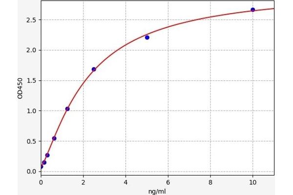 P2RY12 ELISA Kit