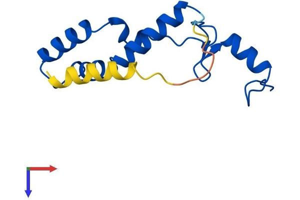 RPS14 Protein (AA 1-128) (His tag)