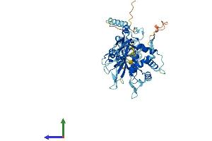 AlphaFold protein structure predicition of Human Recombinant USP14 Protein, UniprotID P54578 (USP14 Protein (AA 1-494) (His tag))