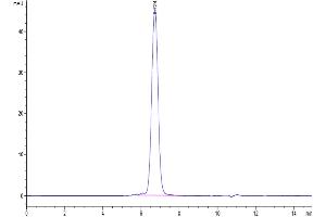 The purity of Biotinylated Human FGFR3 alpha (IIIc) is greater than 95 % as determined by SEC-HPLC.