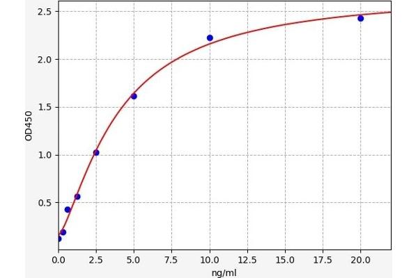 NLRP3 ELISA Kit