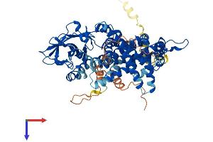 Protein Structure (PS) image for Acyl-CoA Oxidase-Like (ACOXL) (AA 1-632) protein (His tag) (ABIN7561298)