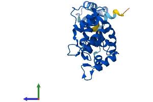 Protein Structure (PS) image for Defective in Cullin Neddylation 1, Domain Containing 1 (DCUN1D1) (AA 1-259) protein (His tag) (ABIN7561817)