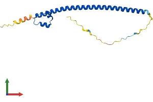 Protein Structure (PS) image for Transcription Factor MafF (MAFF) (AA 1-164) protein (His tag) (ABIN7549222)
