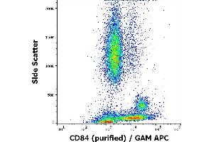 Flow cytometry surface staining pattern of human peripheral whole blood stained using anti-human CD84 (84. (CD84 Antikörper)