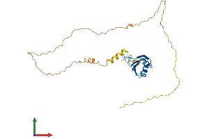 AlphaFold protein structure predicition of Mouse Recombinant Srsf10 Protein, UniprotID Q9R0U0
