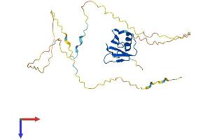 UBXN10 Protein (AA 1-280) (His tag)
