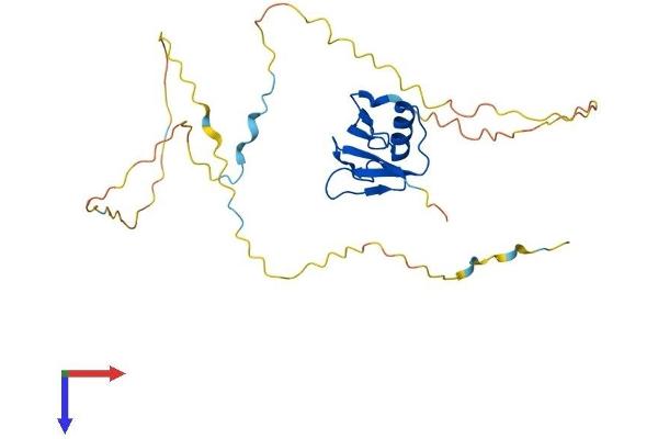 UBXN10 Protein (AA 1-280) (His tag)