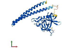 Protein Structure (PS) image for Coiled-Coil Domain Containing 101 (CCDC101) (AA 1-293) protein (His tag) (ABIN7561198)