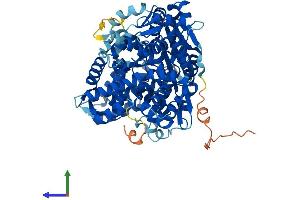Protein Structure (PS) image for Glyceronephosphate O-Acyltransferase (GNPAT) (AA 1-680) protein (His tag) (ABIN7548080)