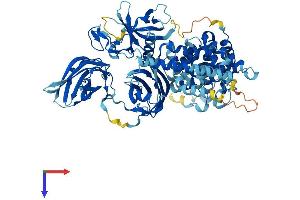 RASAL1 Protein (AA 1-799) (His tag)
