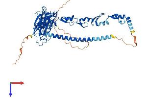 TRAF6 Protein (AA 1-530) (His tag)