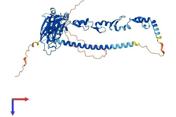 TRAF6 Protein (AA 1-530) (His tag)