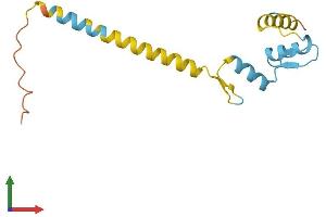 Protein Structure (PS) image for Zinc Finger Protein 818, Pseudogene (ZNF818P) (AA 1-136) protein (His tag) (ABIN7545405)