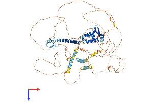 FOXP4 Protein (AA 1-795) (His tag)