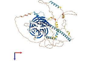 STRN3 Protein (AA 1-797) (His tag)
