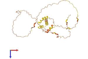 Family with Sequence Similarity 220, Member A (FAM220A) (AA 1-259) protein (His tag)