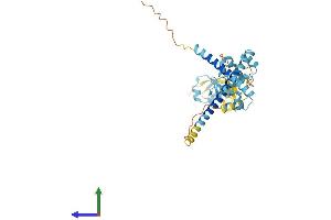 Protein Structure (PS) image for DNA Fragmentation Factor, 45kDa, alpha Polypeptide (DFFA) (AA 1-331) protein (His tag) (ABIN7562411)