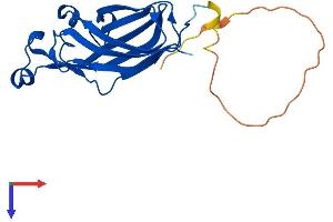 ASF1B Protein (AA 1-202) (His tag)