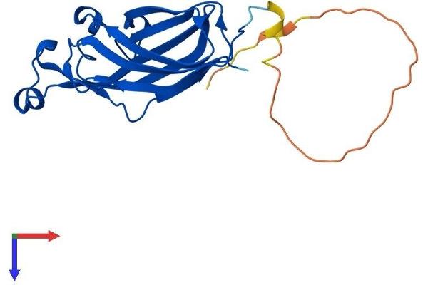 ASF1B Protein (AA 1-202) (His tag)