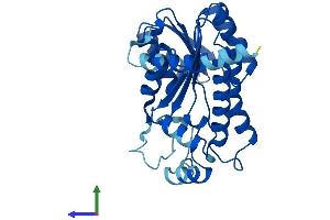 Protein Structure (PS) image for Dehydrogenase/reductase (SDR Family) Member 3 (DHRS3) (AA 1-302) protein (His tag) (ABIN7562681)